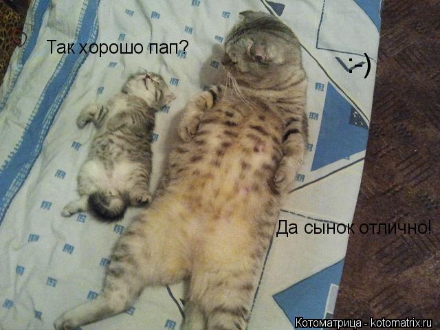 Так Так хорошо пап? Так хорошо пап? Да сынок отлично! :-)... Котоматрица: Так Так хорошо пап? Так хорошо пап? Да сынок отлично! :-)