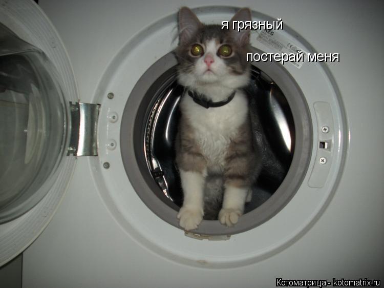 я грязный постерай меня... Котоматрица: я грязный постерай меня