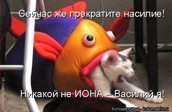 Сейчас же прекратите насилие! Никакой не ИОНА – Василий я!... Котоматрица: Сейчас же прекратите насилие! Никакой не ИОНА – Василий я!