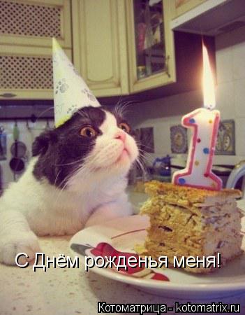 С Днём рожденья меня!... Котоматрица: С Днём рожденья меня!