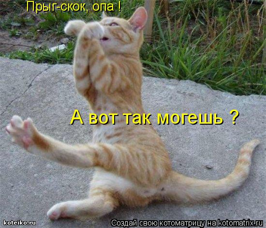 Прыг-скок, опа ! А вот так могешь ?... Котоматрица: Прыг-скок, опа ! А вот так могешь ?