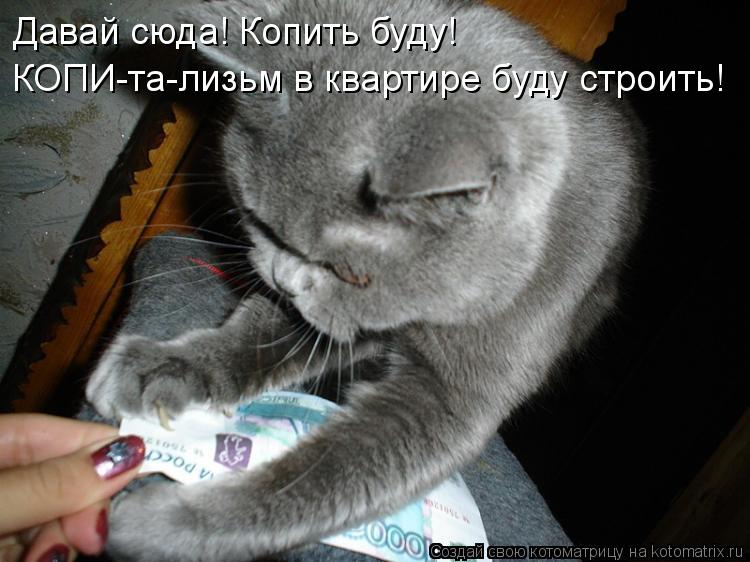 Давай сюда! Копить буду! КОПИ-та-лизьм в квартире буду строить!... Котоматрица: Давай сюда! Копить буду! КОПИ-та-лизьм в квартире буду строить!