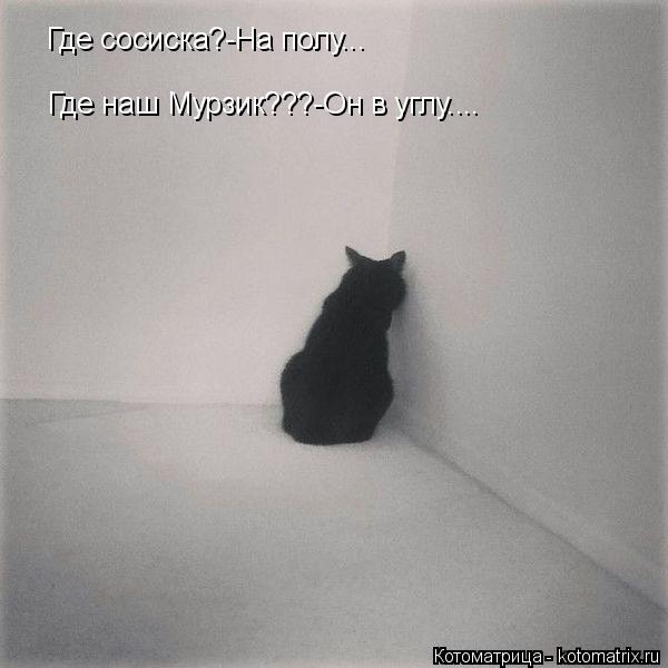 Котоматрица: Где сосиска?-На полу... Где наш Мурзик???-Он в углу....