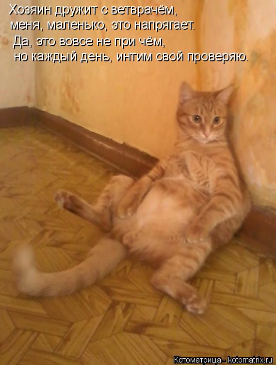 Хозяин дружит с ветврачём, меня, маленько, это напрягает. Да, это вовсе не при чём, но каждый день, и... Котоматрица: Хозяин дружит с ветврачём, меня, маленько, это напрягает. Да, это вовсе не при чём, но каждый день, интим свой проверяю.