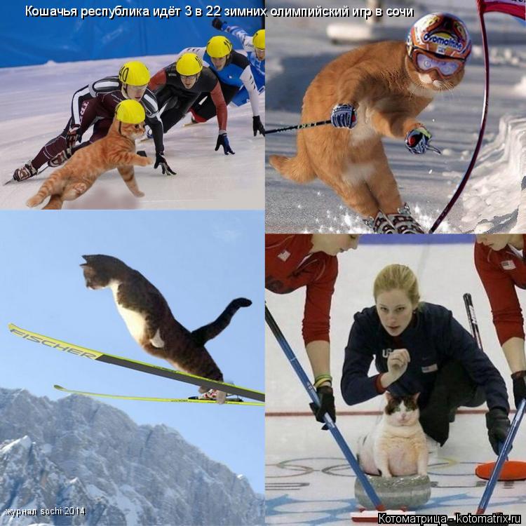 Котоматрица: Кошачья республика идёт 3 в 22 зимних олимпийский игр в сочи журнал sochi 2014