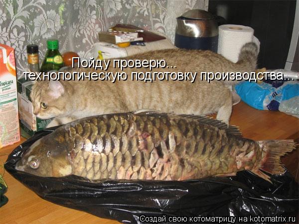 Пойду проверю... технологическую подготовку производства...... Котоматрица: Пойду проверю... технологическую подготовку производства...