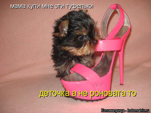 мама купи мне эти туфельки деточка а не роновата то... Котоматрица: мама купи мне эти туфельки деточка а не роновата то