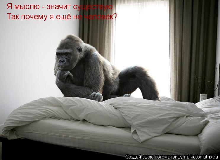 Котоматрица: Я мыслю - значит существую Так почему я ещё не человек?