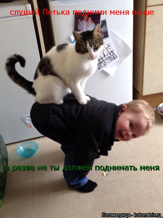 слушай Петька подними меня выше а разве не ты должен поднимать меня... Котоматрица: слушай Петька подними меня выше а разве не ты должен поднимать меня