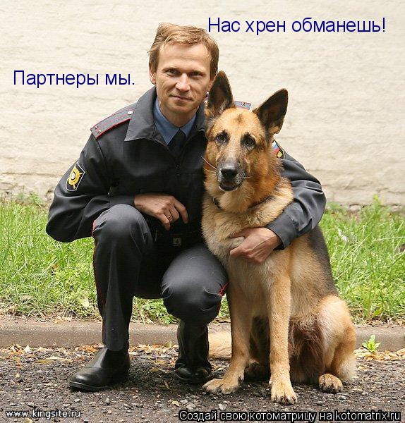 Партнеры мы. Нас хрен обманешь!... Котоматрица: Партнеры мы. Нас хрен обманешь!