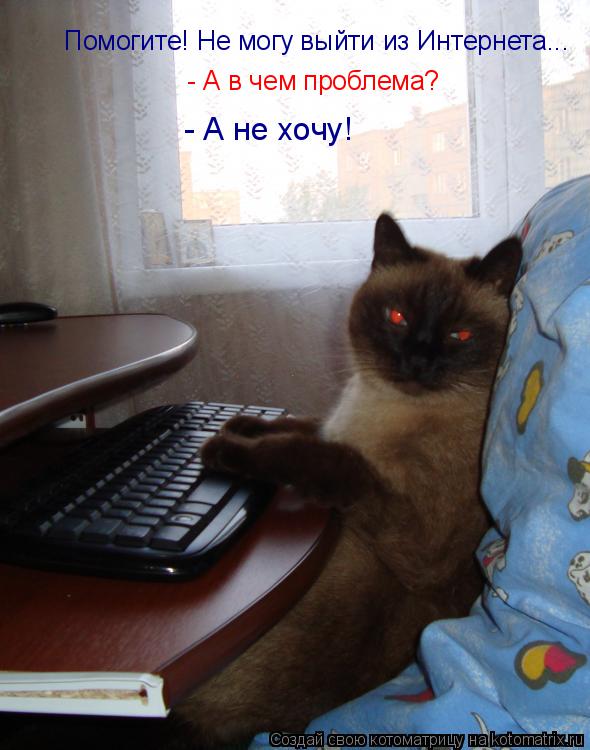 Помогите! Не могу выйти из Интернета... - А в чем проблема? - А не хочу!... Котоматрица: Помогите! Не могу выйти из Интернета... - А в чем проблема? - А не хочу!