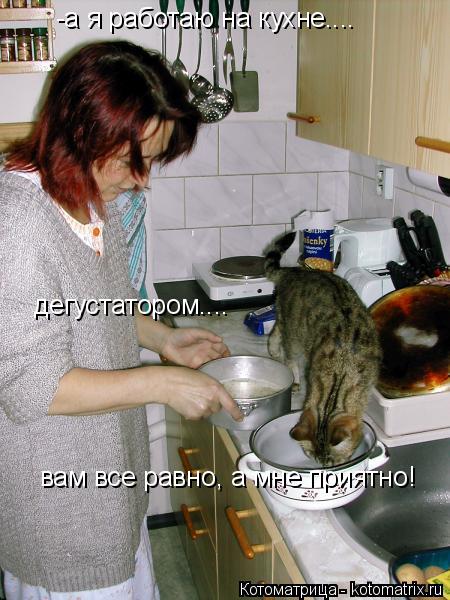 -а я работаю на кухне.... дегустатором.... вам все равно, а мне приятно!... Котоматрица: -а я работаю на кухне.... дегустатором.... вам все равно, а мне приятно!