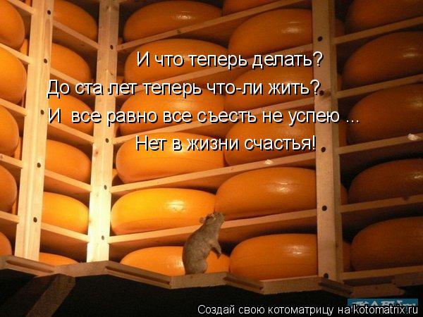 И что теперь делать? До ста лет теперь что-ли жить? И все равно все съесть не успею ... Нет в жизни ... Котоматрица: И что теперь делать? До ста лет теперь что-ли жить? И все равно все съесть не успею ... Нет в жизни счастья!
