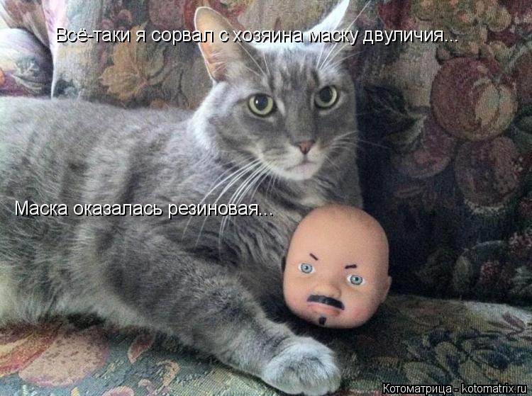 Котоматрица: Всё-таки я сорвал с хозяина маску двуличия...  Маска оказалась резиновая...