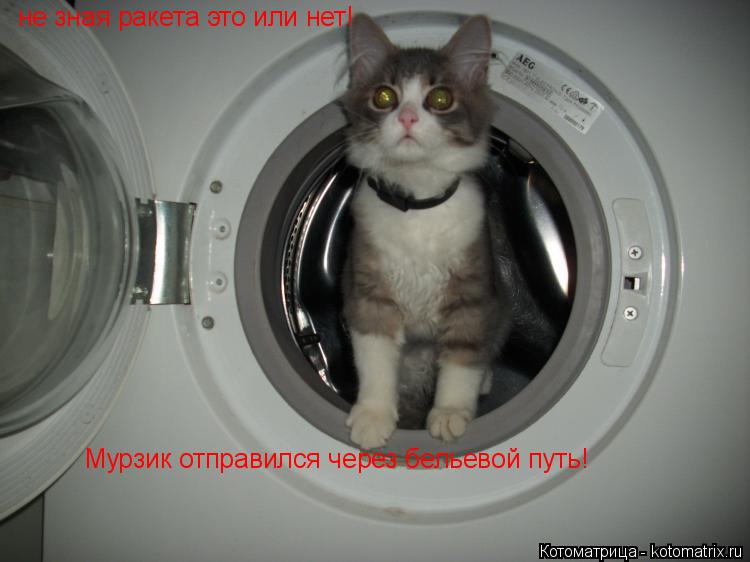 не зная ракета это или нет! Мурзик отправился через бельевой путь!... Котоматрица: не зная ракета это или нет! Мурзик отправился через бельевой путь!