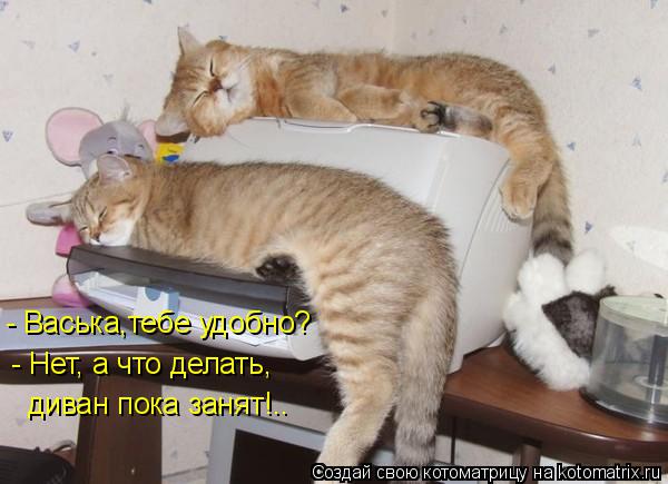 - Васька,тебе удобно? - Нет, а что делать, диван пока занят!..... Котоматрица: - Васька,тебе удобно? - Нет, а что делать, диван пока занят!..