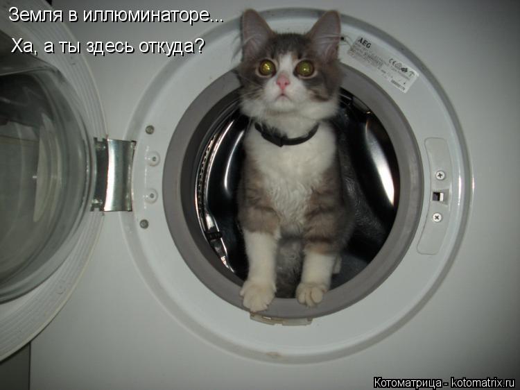 Земля в иллюминаторе... Ха, а ты здесь откуда?... Котоматрица: Земля в иллюминаторе... Ха, а ты здесь откуда?