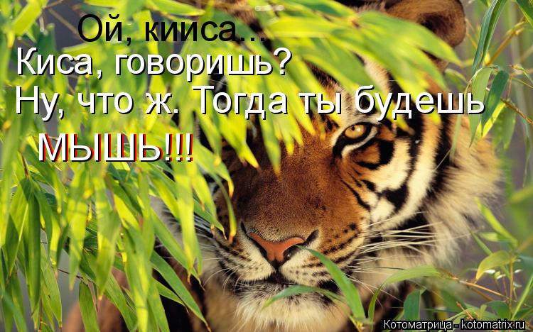 Киса, говоришь? Ну, что ж. Тогда ты будешь МЫШЬ!!! МЫШЬ!!! Ой, кииса...... Котоматрица: Киса, говоришь? Ну, что ж. Тогда ты будешь МЫШЬ!!! МЫШЬ!!! Ой, кииса...