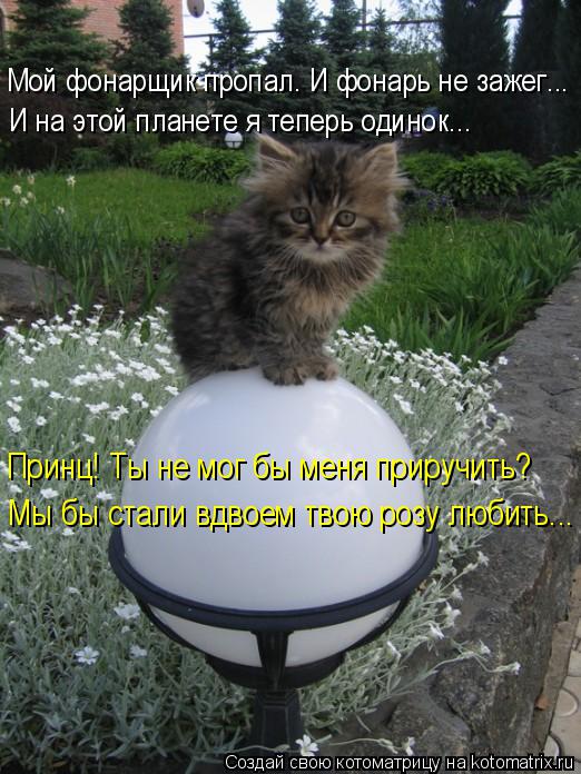 Мой фонарщик пропал. И фонарь не зажег... Принц! Ты не мог бы меня приручить? Мы бы стали вдвоем твою... Котоматрица: Мой фонарщик пропал. И фонарь не зажег... Принц! Ты не мог бы меня приручить? Мы бы стали вдвоем твою розу любить... И на этой планете я теперь о