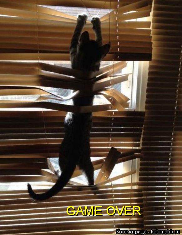 GAME OVER... Котоматрица: GAME OVER