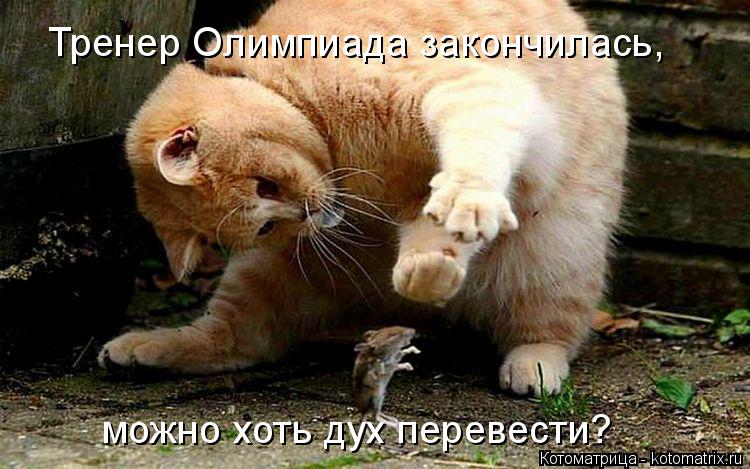 http://kotomatrix.ru/images/lolz/2014/02/23/kotomatritsa_vx.jpg