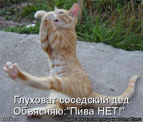 Котоматрица: Глуховат соседский дед. Объясняю:"Пива НЕТ!"