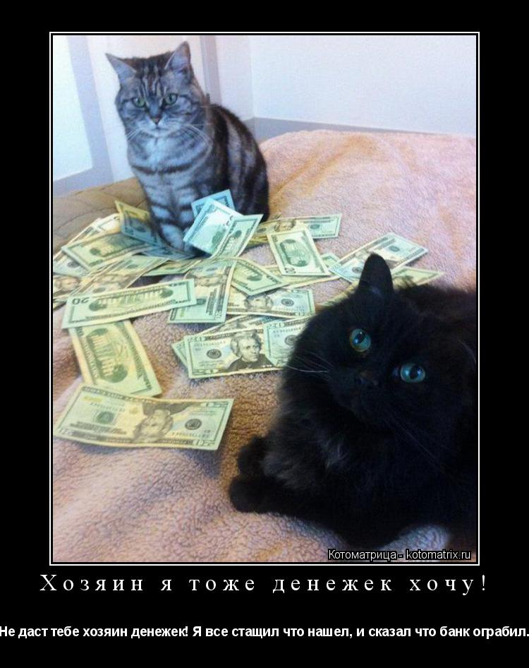 Хозяин я тоже денежек хочу! Не даст тебе хозяин денежек! Я все стащил что нашел, и сказал что банк ог... Котоматрица: Хозяин я тоже денежек хочу! Не даст тебе хозяин денежек! Я все стащил что нашел, и сказал что банк ограбил.