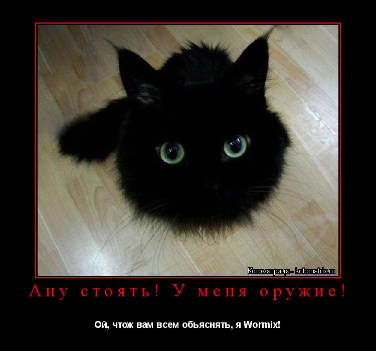 Ану стоять! У меня оружие! Ой, чтож вам всем обьяснять, я Wormix!... Котоматрица: Ану стоять! У меня оружие! Ой, чтож вам всем обьяснять, я Wormix!