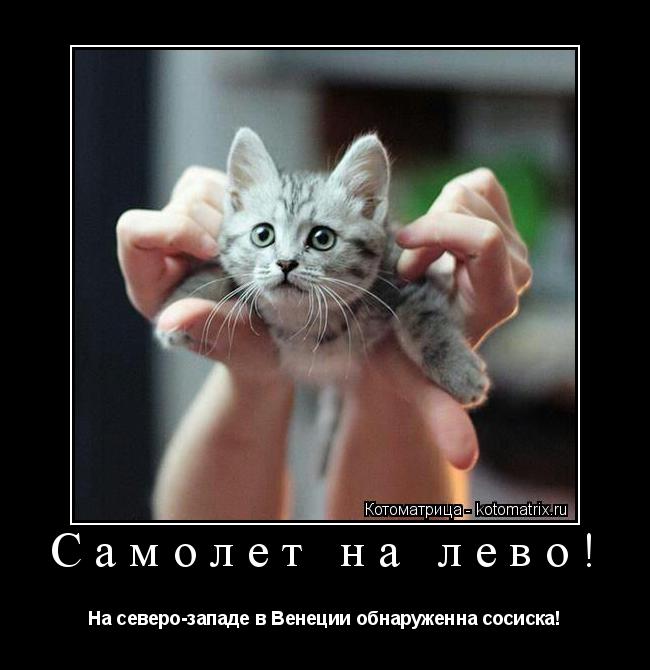 Самолет на лево! На северо-западе в Венеции обнаруженна сосиска!... Котоматрица: Самолет на лево! На северо-западе в Венеции обнаруженна сосиска!