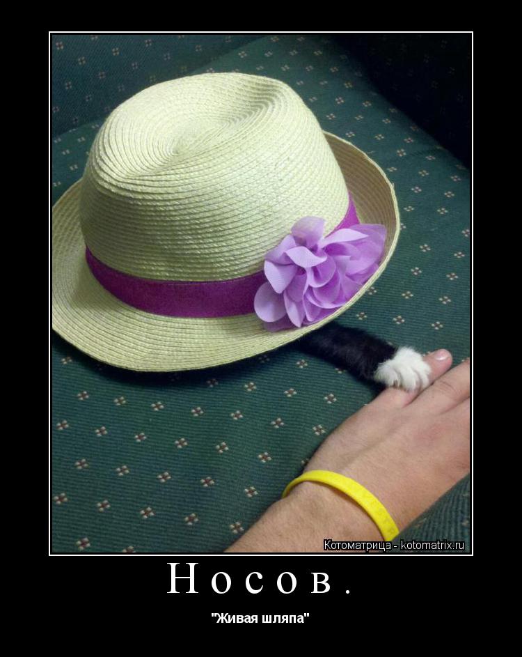 Носов. "Живая шляпа"... Котоматрица: Носов. "Живая шляпа"