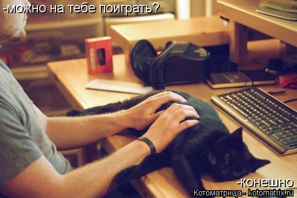 -можно на тебе поиграть? -конешно... Котоматрица: -можно на тебе поиграть? -конешно