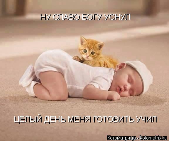НУ СЛАВО БОГУ УСНУЛ ЦЕЛЫЙ ДЕНЬ МЕНЯ ГОТОВИТЬ УЧИЛ... Котоматрица: НУ СЛАВО БОГУ УСНУЛ ЦЕЛЫЙ ДЕНЬ МЕНЯ ГОТОВИТЬ УЧИЛ
