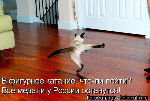 В фигурное катание, что-ли пойти? Все медали у России останутся!... Котоматрица: В фигурное катание, что-ли пойти? Все медали у России останутся!