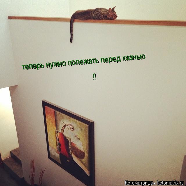 теперь нужно полежать перед казнью !!... Котоматрица: теперь нужно полежать перед казнью !!