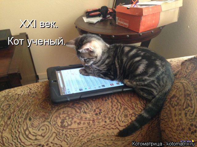 Кот ученый. XXI век.... Котоматрица: Кот ученый. XXI век.