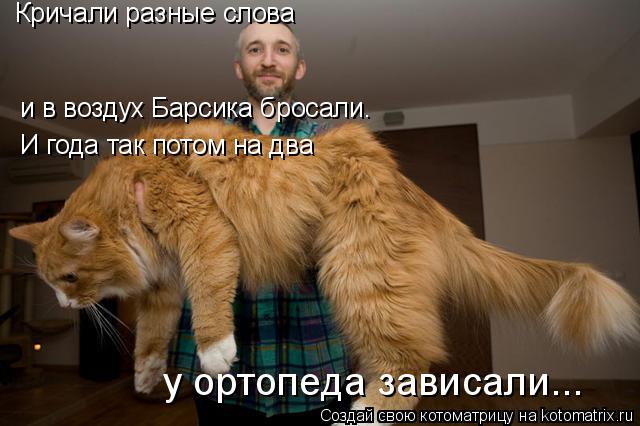Кричали разные слова и в воздух Барсика бросали. И года так потом на два у ортопеда зависали...... Котоматрица: Кричали разные слова и в воздух Барсика бросали. И года так потом на два у ортопеда зависали...