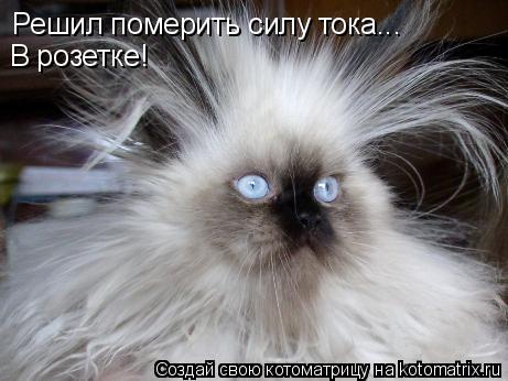Решил померить силу тока... В розетке!... Котоматрица: Решил померить силу тока... В розетке!
