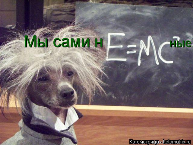 Мы сами н ные...... Котоматрица: Мы сами н ные...