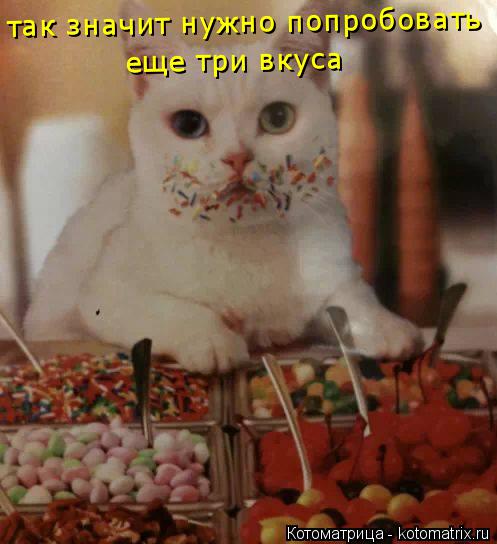 так значит нужно попробовать еще три вкуса... Котоматрица: так значит нужно попробовать еще три вкуса