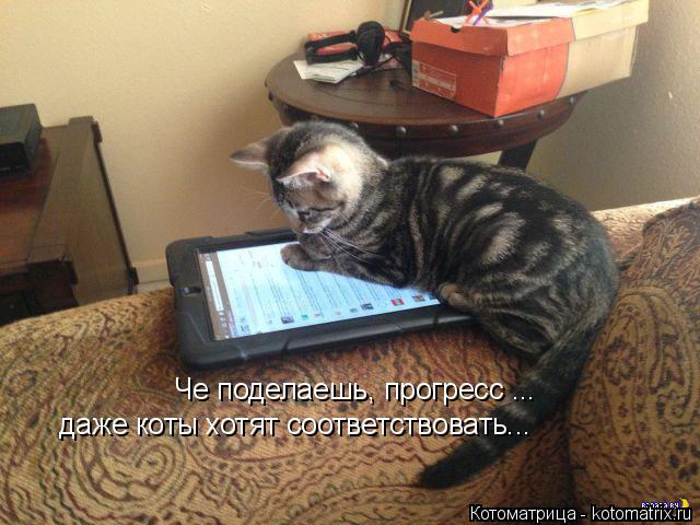 Че поделаешь, прогресс ... даже коты хотят соответствовать...... Котоматрица: Че поделаешь, прогресс ... даже коты хотят соответствовать...