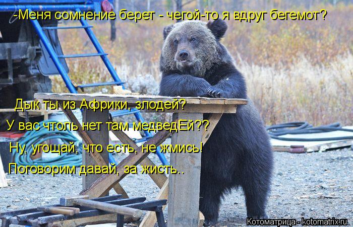 -Меня сомнение берет - чегой-то я вдруг бегемот? Дык ты из Африки, злодей? У вас чтоль нет там медв... Котоматрица: -Меня сомнение берет - чегой-то я вдруг бегемот? Дык ты из Африки, злодей? У вас чтоль нет там медведЕй?? Ну, угощай, что есть, не жмись! Погово
