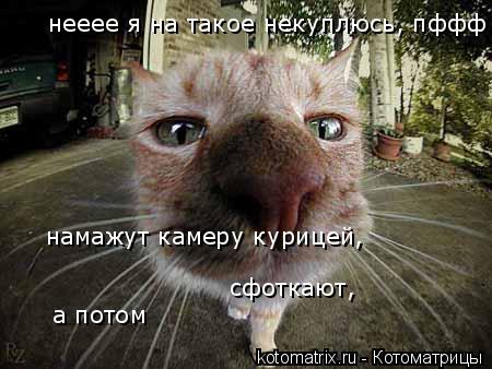 нееее я на такое некуплюсь, пффф намажут камеру курицей, сфоткают, сфоткают, а потом... Котоматрица: нееее я на такое некуплюсь, пффф намажут камеру курицей, сфоткают, сфоткают, а потом