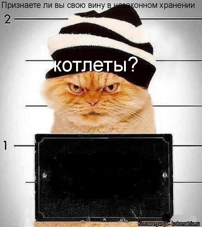 Признаете ли вы свою вину в незаконном хранении котлеты?... Котоматрица: Признаете ли вы свою вину в незаконном хранении котлеты?