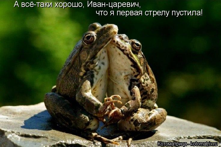 А всё-таки хорошо, Иван-царевич, что я первая стрелу пустила!... Котоматрица: А всё-таки хорошо, Иван-царевич, что я первая стрелу пустила!