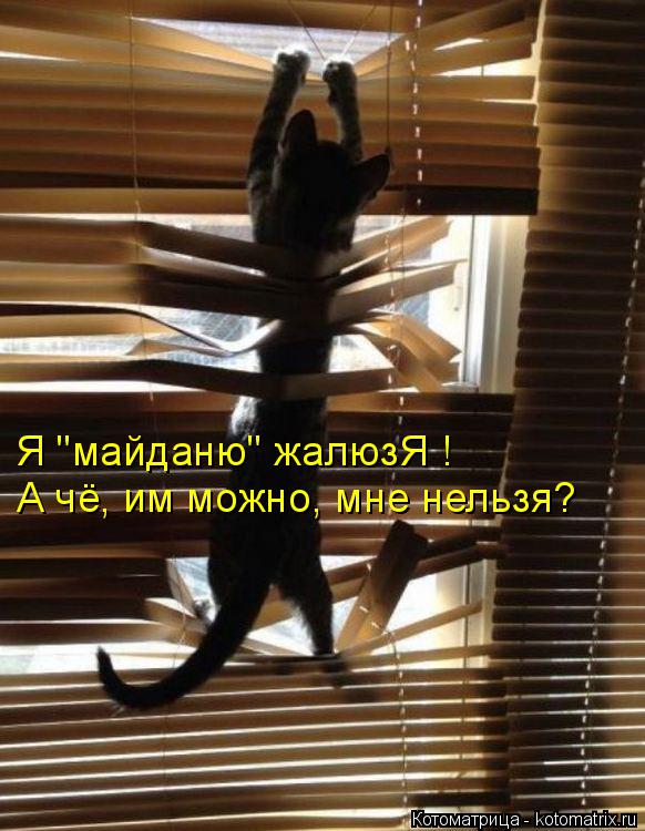 Я "майданю" жалюзЯ ! А чё, им можно, мне нельзя?... Котоматрица: Я "майданю" жалюзЯ ! А чё, им можно, мне нельзя?