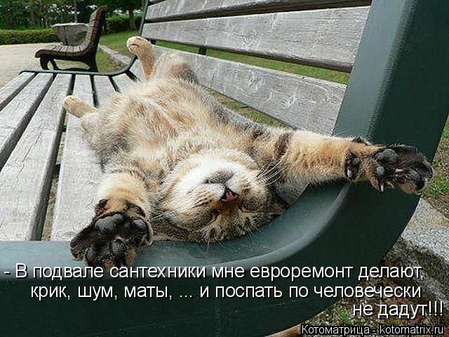 - В подвале сантехники мне евроремонт делают, крик, шум, маты, ... и поспать по человечески не дадут... Котоматрица: - В подвале сантехники мне евроремонт делают, крик, шум, маты, ... и поспать по человечески не дадут!!!