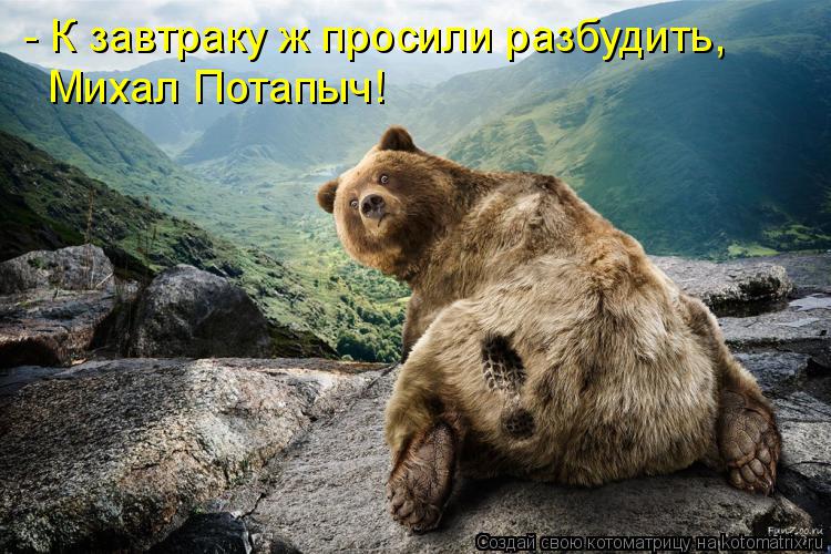 Михал Потапыч! - К завтраку ж просили разбудить,... Котоматрица: Михал Потапыч! - К завтраку ж просили разбудить,