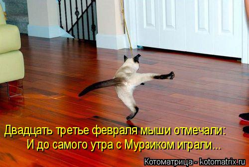 Двадцать третье февраля мыши отмечали: И до самого утра с Мурзиком играли...... Котоматрица: Двадцать третье февраля мыши отмечали: И до самого утра с Мурзиком играли...