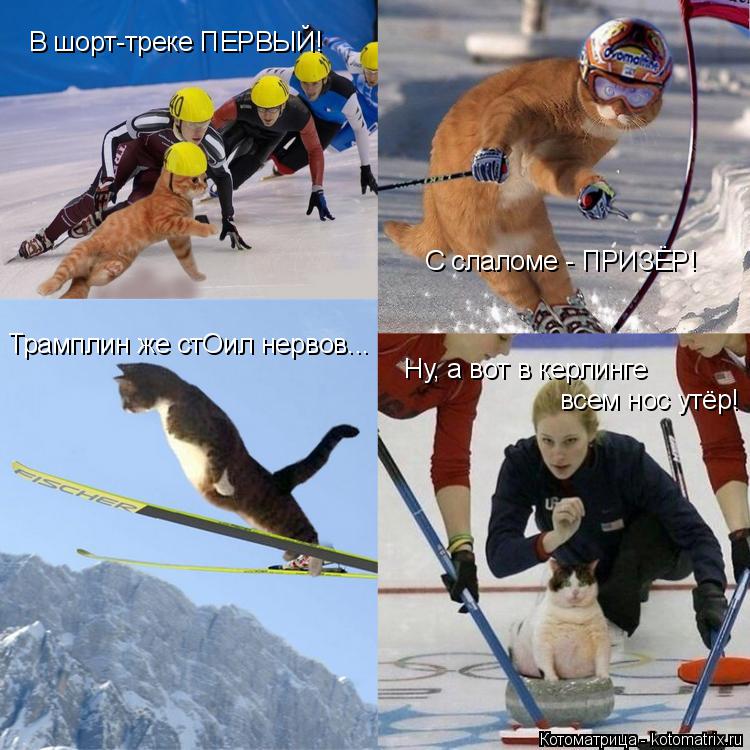 В шорт-треке ПЕРВЫЙ! С слаломе - ПРИЗЁР! Трамплин же стОил нервов... Ну, а вот в керлинге всем нос у... Котоматрица: В шорт-треке ПЕРВЫЙ! С слаломе - ПРИЗЁР! Трамплин же стОил нервов... Ну, а вот в керлинге всем нос утёр!