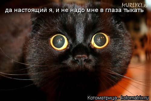 да настоящий я, и не надо мне в глаза тыкать... Котоматрица: да настоящий я, и не надо мне в глаза тыкать